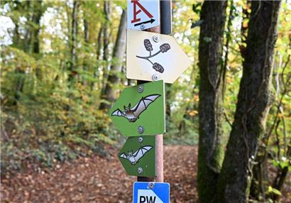 Lokale Aktionen sind wichtig, um gegen den Klimawandel vorzugehen 
