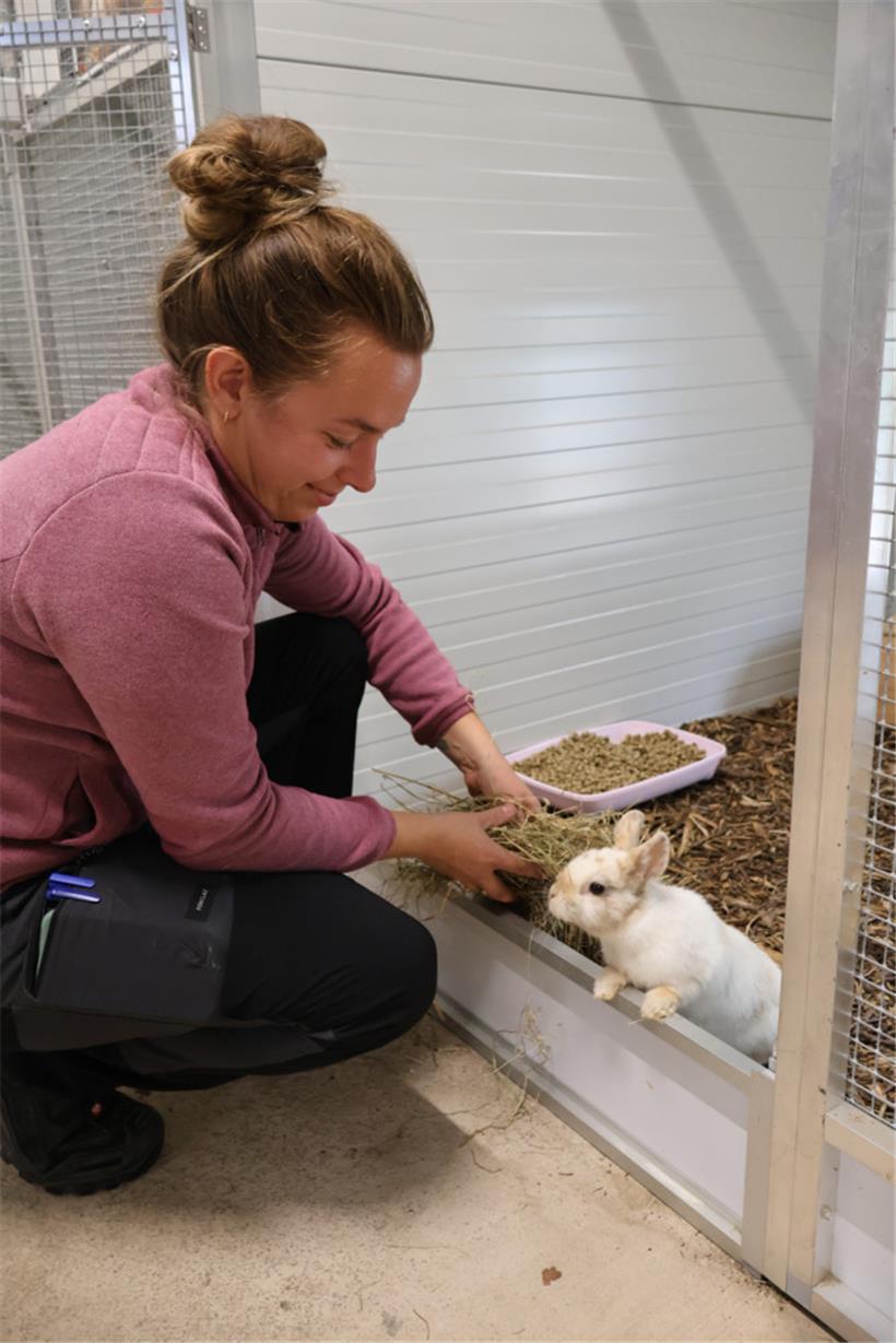 Lucie Posteau und ihr Team kümmern sich mit viel Liebe um gefundene Haustiere, eigentlich ist die Pflegestation aber nicht für diese gedacht
