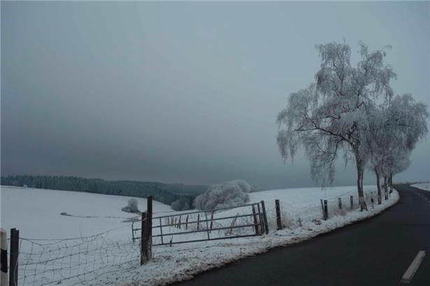 Luxemburg erstrahlt derzeit in weiß
