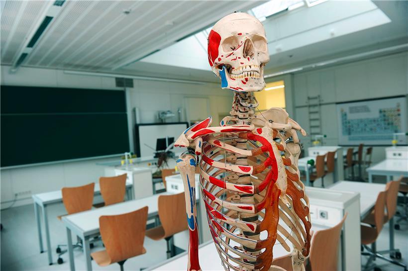 Luxemburg hat einen Fachkräftemangel im Gesundheitssektor
