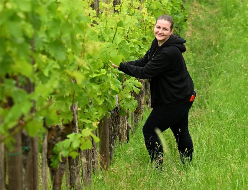 Mag es zwar nicht auf Fotos abgebildet zu werden, kommt aber dennoch immer wieder mit in den Weinberg: unsere Grafikerin Jil Scheuer

