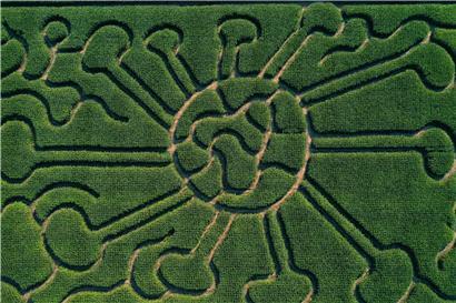 Maisfeld-Labyrinth in Form eines Coronavirus in der Nähe von Dortmund: Um aus dem Gewirr der Zuständigkeiten in der Pandemiebekämpfung herauszufinden, bräuchte es einen Krisenstab

