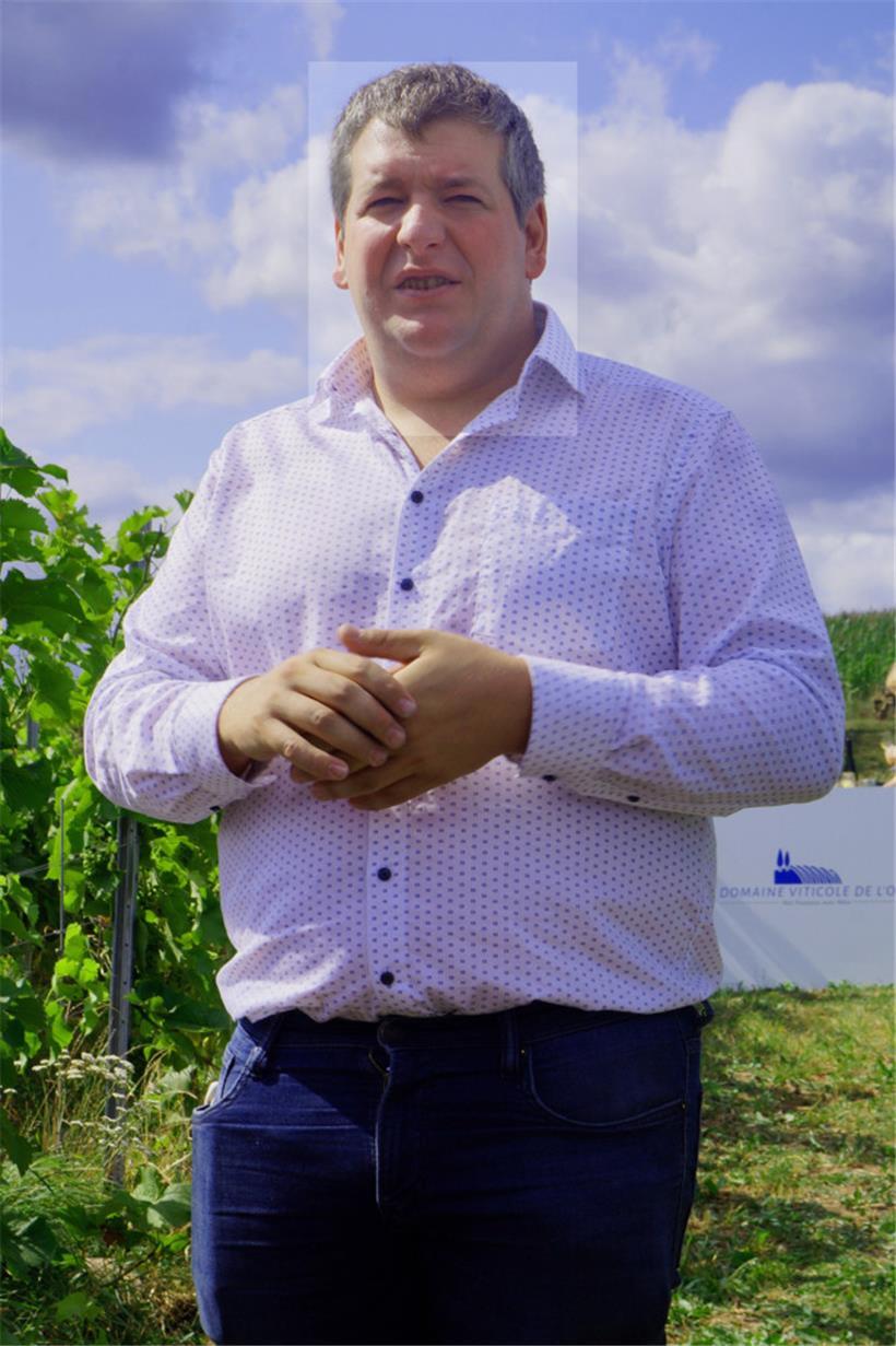 Marc Roeder bewirtschaftet 40 Ar Rebfläche in Tandel