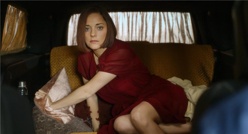Marion Cotillard joue Ann, une cantatrice célèbre, qui tombe amoureuse de …
