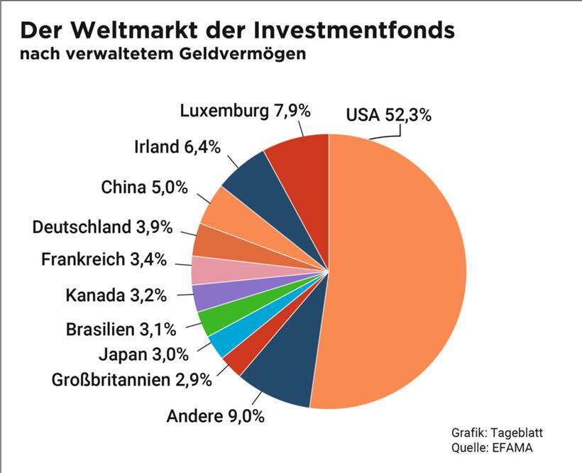 Marktanteile im ersten Halbjahr 2024
