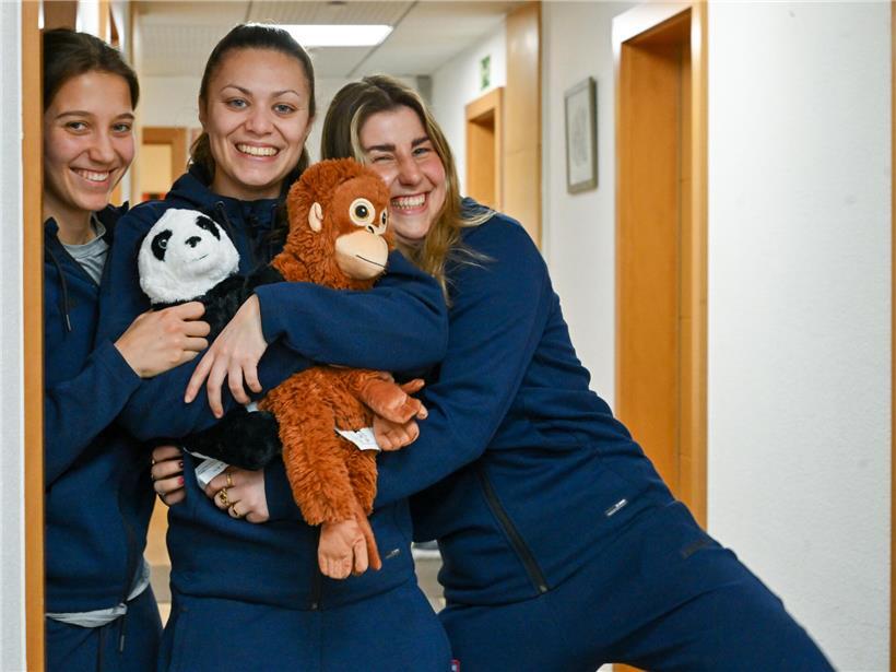 Marta Estevez sammelt Kuscheltiere ein, Freiwillige bei Charity-Aktion mit weichen Plüschtieren