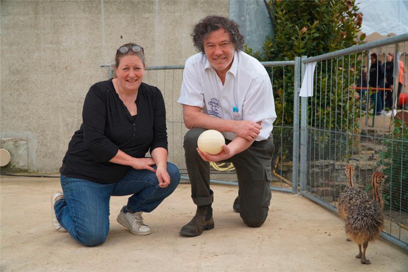 Martine und Robert Axmann-Reuter mit Straußenei und Küken
