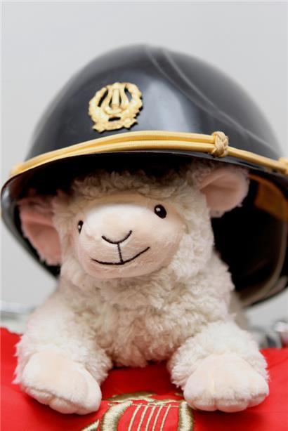 Maskottchen Kira trägt die traditionelle Kappe des Vereins
