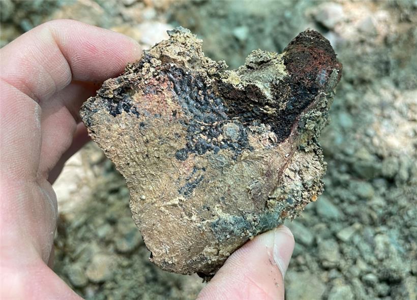 Mehr als 100 Knochen ausgestorbener Panzerlurche wurden in der Gegend von Fels entdeckt
