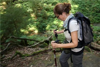 Mehr als 200.000 Wanderer begaben sich letztes Jahr auf den Müllerthal-Trail
