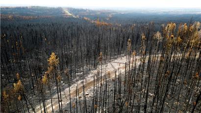 Mehr als elf Millionen Hektar Fläche sind in diesem Jahr in Kanada verbrannt
