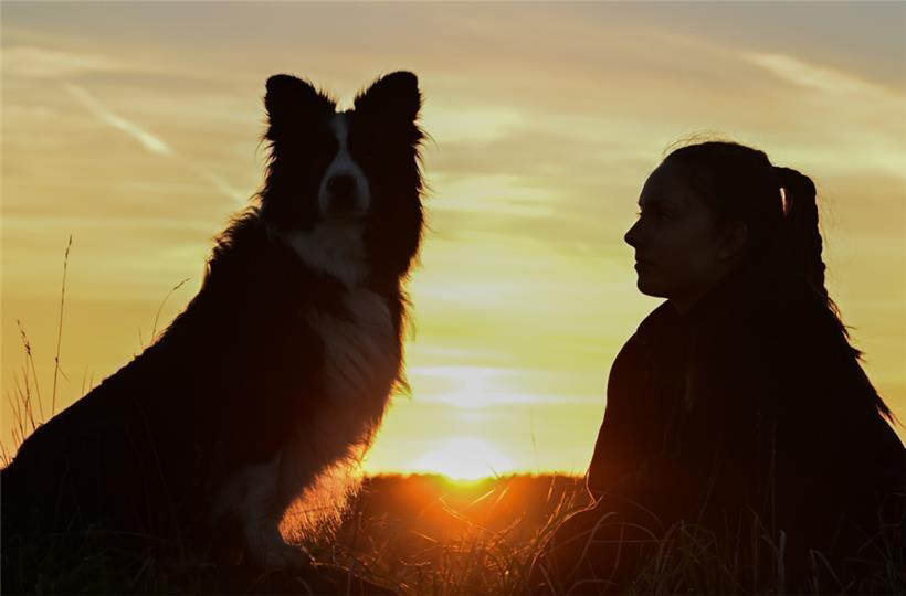 Mehrfache Hundehalter aus der Gemeinde Préizerdaul müssen am tiefsten in die Tasche greifen
