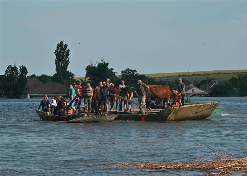 Menschen aus dem ukrainischen Ort Afanasiyivka bringen sich und ihr Vieh vor den Fluten in Sicherheit: Nun könnte der durch den russischen Angriffskrieg verursachte Bruch des Kachowka-Staudamms auch negative Auswirkungen auf die Küsten von Rumänien und Bulgarien haben
