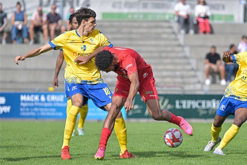 Mersch baut auf die Zweikampfstärke von David Dadashev (l.) im Mittelfeld
