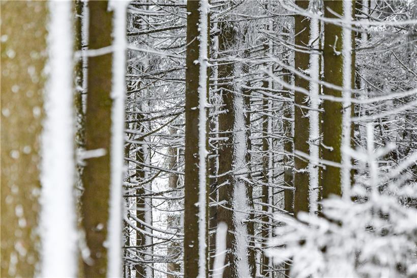 Meteolux hat eine Wetterwarnung der Stufe gelb herausgegeben
