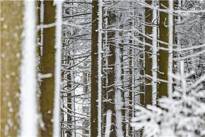 Meteolux hat eine Wetterwarnung der Stufe gelb herausgegeben
