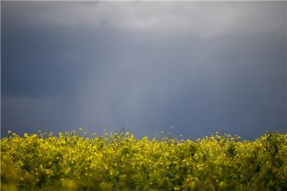 Meteolux rechnet ab Mittwochnachmittag mit mäßigem bis starkem Regen
