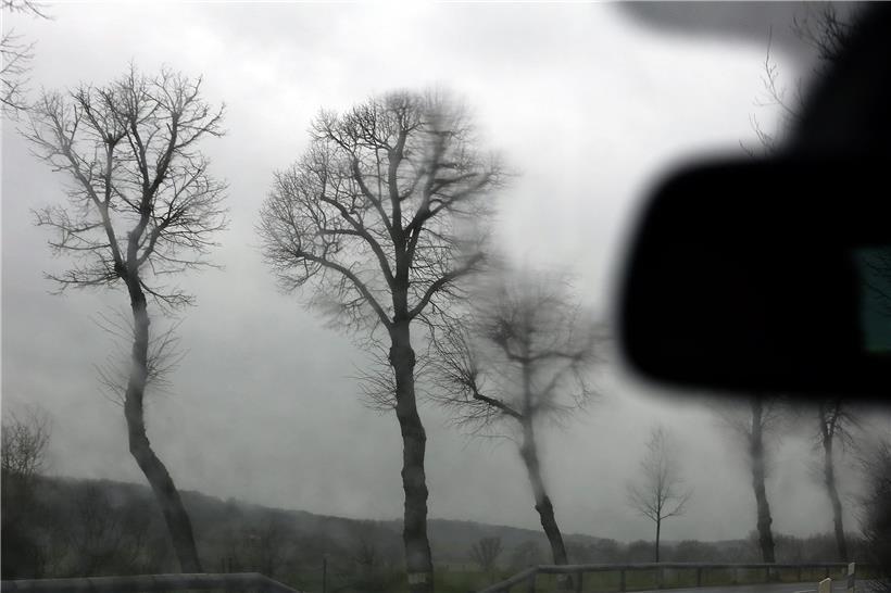Meteolux ruft für Samstag Alarmstufe Orange aus: Windböen bis 100 km/h sind möglich.
