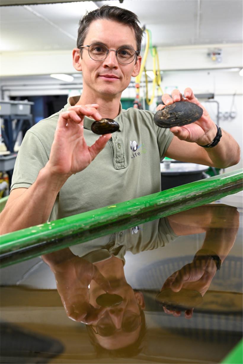 Michel Frisch mit jeweils einem Exemplar: links die Bachmuschel, rechts die Flus...