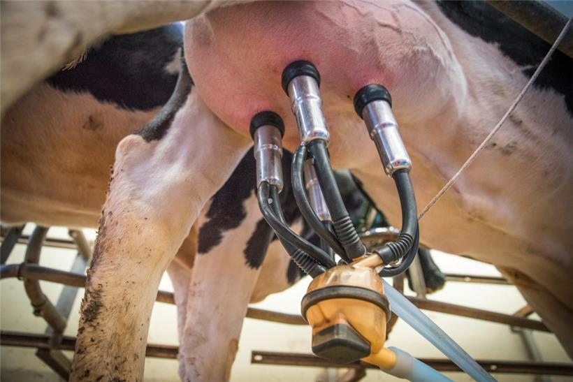 Milch gilt als „Lokomotive der luxemburgischen Landwirtschaft“. 2022 hat sie entscheidend dazu beigetragen, dass das Betriebsergebnis der Landwirtschaft – trotz der Ukraine-Krise – wohl positiv ausfallen wird.
