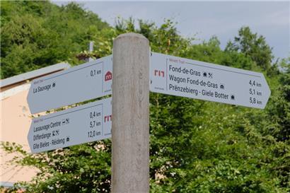 Minett-Trail: Über 90 Kilometer führt der Wanderweg durch alle Pro-Sud-Gemeinden. Er sorgt für Bewegung und Austausch.
