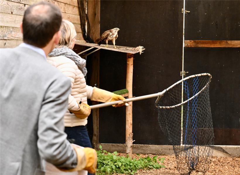 Minister auf Vogelfang
