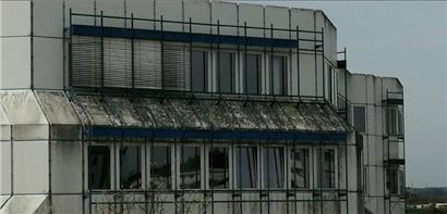 Mit Moos nix los: Eine vergammelte Fassade der Universität Trier
