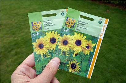 Mit Sonnenblumen gegen die Tristesse
