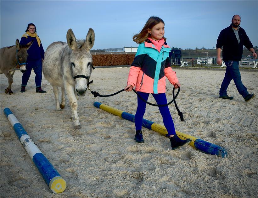 Mit den Eseln im „Parcours“ gehen – das macht den Kindern am meisten Spaß. Um mehr Zeit mit den Tieren im Parcours zu verbringen, bemühen sich die Kinder, die Putzroutine gründlich, aber zügig zu erledigen, erzählt Tiertherapeut Tanguy.
