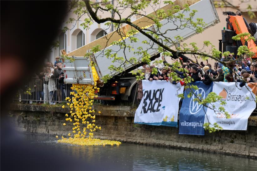 Mit einem großen Lkw werden Tausende Entchen losgelassen