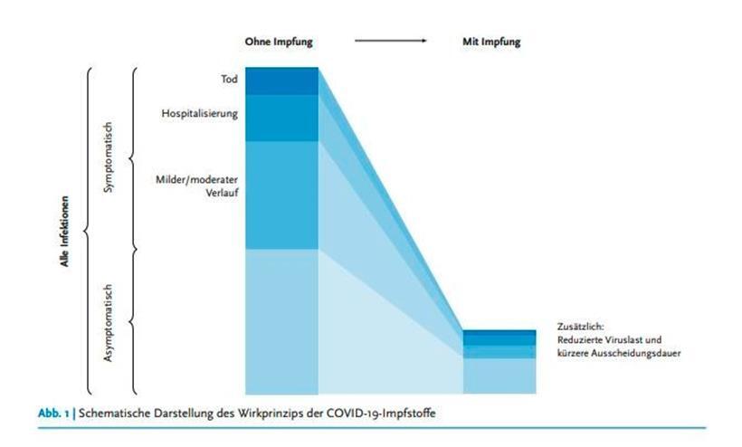 Mit einer Impfung werden sowohl das Risiko einer Covid-19-Infektion als auch die Wahrscheinlichkeit eines schweren Krankheitsverlaufes vermindert

