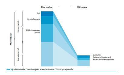 Mit einer Impfung werden sowohl das Risiko einer Covid-19-Infektion als auch die Wahrscheinlichkeit eines schweren Krankheitsverlaufes vermindert
