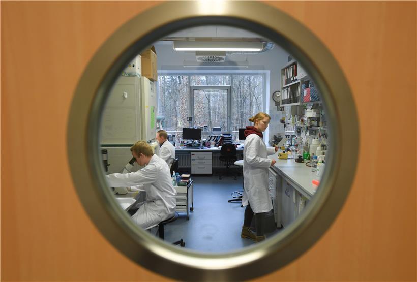 Mitarbeiter des Instituts für Virologie der Philipps-Universität Marburg arbeiten in einem Forschungslabor
