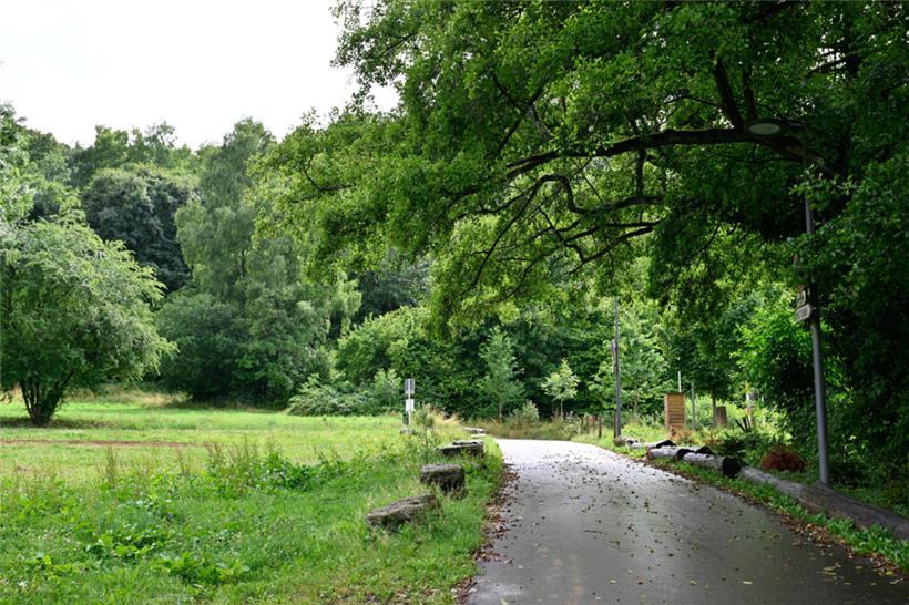 Mitten im Grünen sollen unter anderem ein Hotel und ein Wellnesszentrum Platz finden
