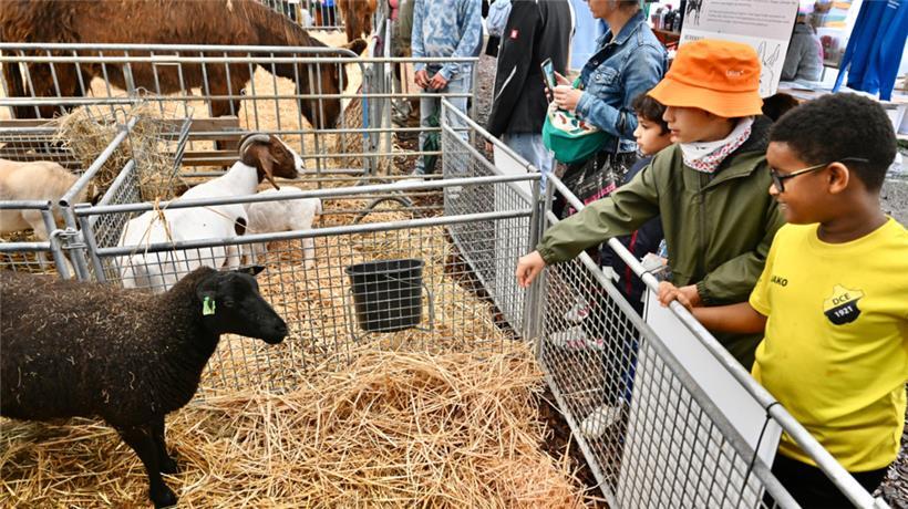 Mittendrin statt nur dabei
