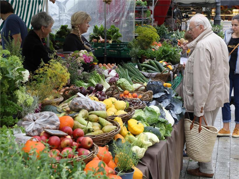 Frischmarkt im Stadtzentrum mit frischem Obst und Gemüse, geöffnet mittwochs und samstags zum Einkaufen
