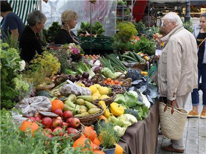 Frischmarkt im Stadtzentrum mit frischem Obst und Gemüse, geöffnet mittwochs und samstags zum Einkaufen