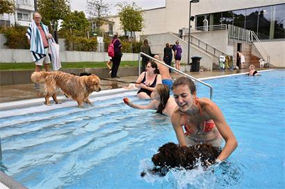 Mitunter war Überzeugungsarbeit verlangt, um Bello ins Wasser zu locken