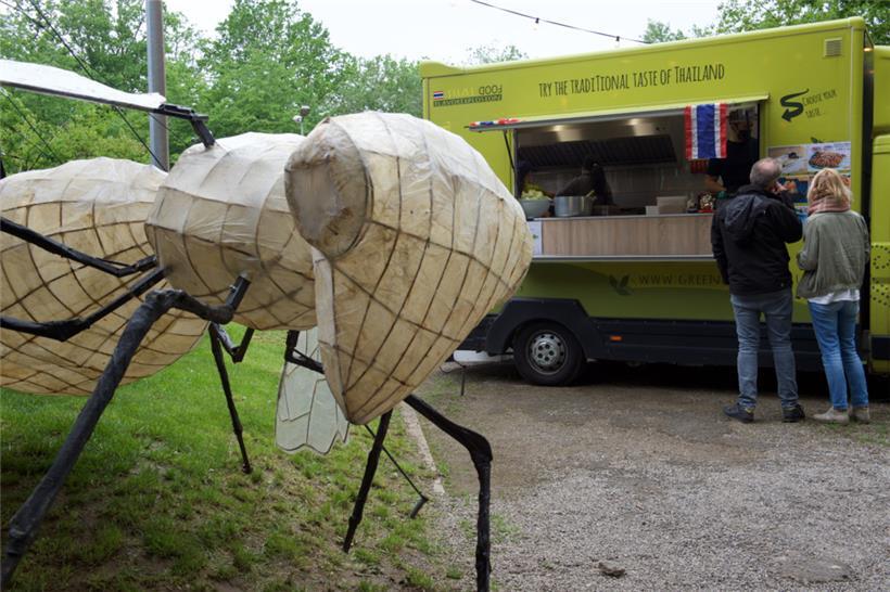 Mix aus Musik- und Foodfestival: das Culture Forest Festival in Esch
