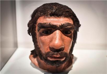 Moulage de la tête supposée d’un homme de Néandertal, présenté en 2018 au Musée de l’Homme de Paris
