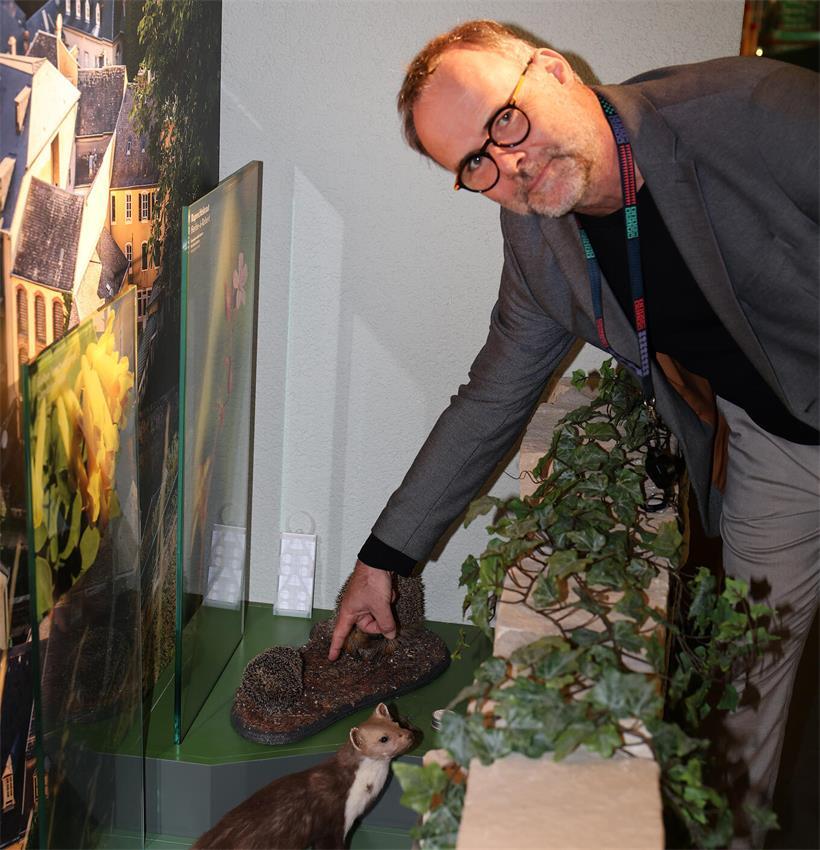 Unbekannter stiehlt ausgestopften Baby-Igel und hinterlässt Lücke in Ausstellung Museumsdirektor Patrick Michaely weist auf die entstandene Lücke hin