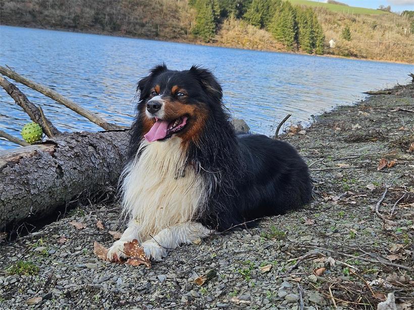 Mylo (5) liegt mit seinem Namen voll im Trend