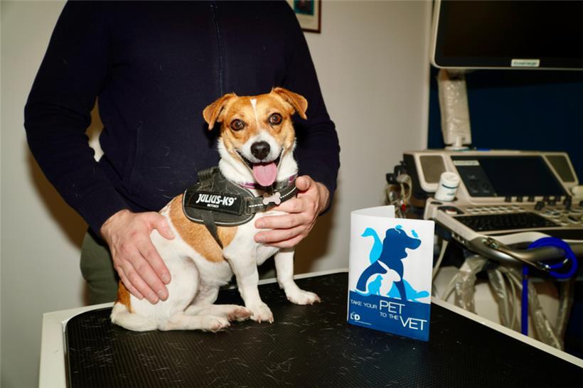 Nach Ansicht von Tierärztin Dr. Simone Mousel überwiegen die Vorteile einer Impfung ihre potenziellen Nebenwirkungen bei Weitem, da diese sehr selten, meist vorübergehend und harmlos sind
