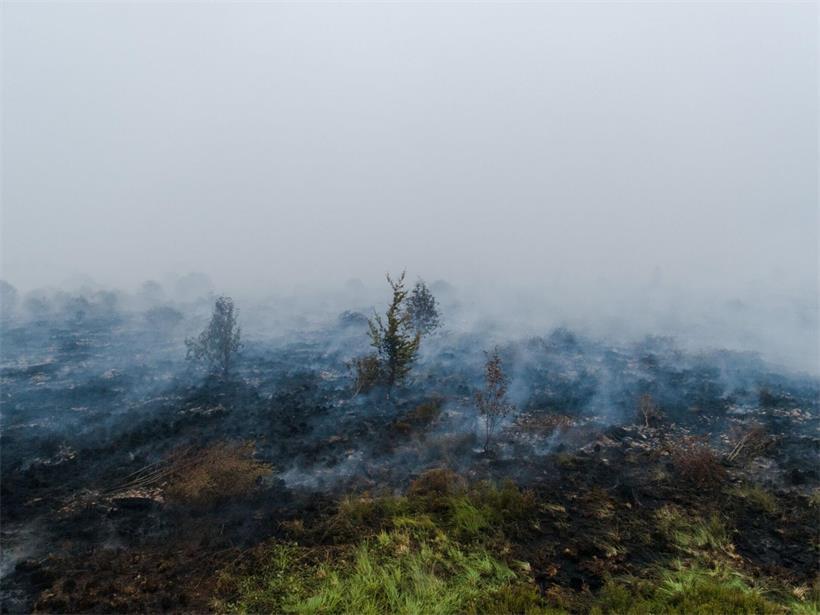 Nach dem Brand: Rauch steigt aus dem verbrannten Boden im Naturschutzgebiet Hohes Venn in Belgien auf