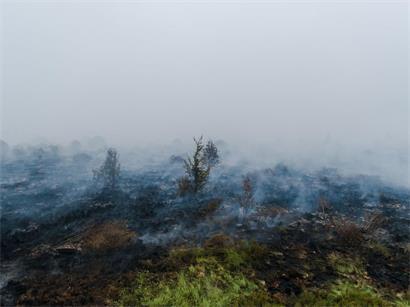 Nach dem Brand: Rauch steigt aus dem verbrannten Boden im Naturschutzgebiet Hohes Venn in Belgien auf