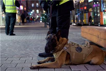 Nach dem Hundevorfall soll der Einsatz von privaten Sicherheitskräften und deren tierischen Begleitern genauer definiert werden
