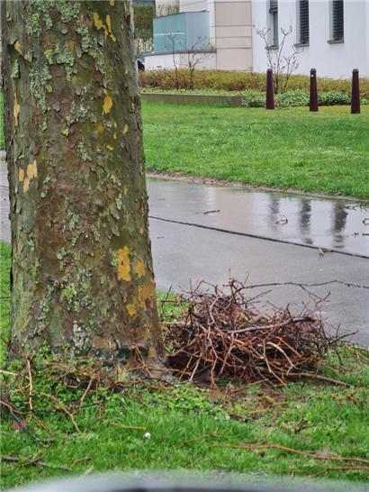 Nach vergangenen Erfahrungen liegt der Schluss nahe, dass auch dieses Mal Unbekannte am Werk waren
