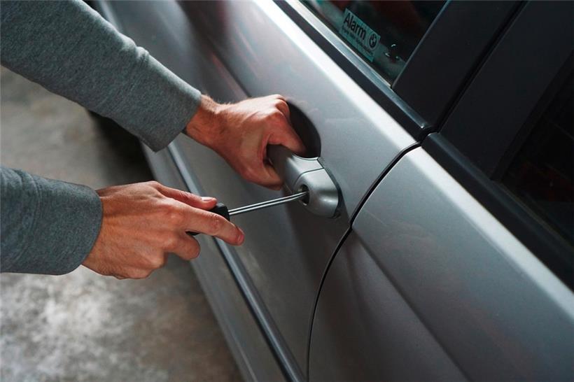 Nach zwei Tagen konnte die Polizei den mutmaßlichen Dieb stellen

