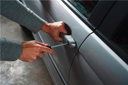 Nach zwei Tagen konnte die Polizei den mutmaßlichen Dieb stellen
