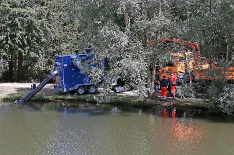 Nahe Petingen wurde Baby Bianka mit seiner Mutter im Juni 2015 zuletzt gesehen. Im Rahmen der vollumfänglichen Suchaktion wurde kurze Zeit später gar der Weiher bei Linger-Bomicht fast leergepumpt. Ergebnislos. Seit sieben Jahren fehlt von dem kleinen Mädchen jede Spur. Die Mutter schweigt beharrlich.
